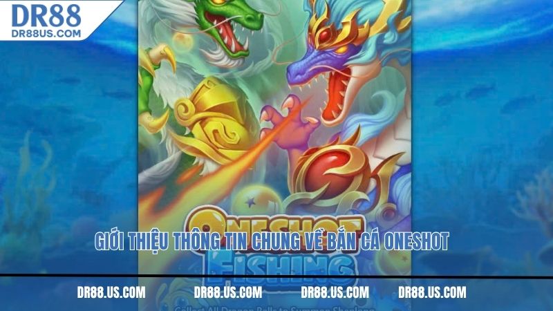 Giới thiệu thông tin chung về bắn cá Oneshot