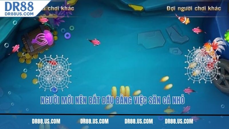 Người mới nên bắt đầu bằng việc săn cá nhỏ