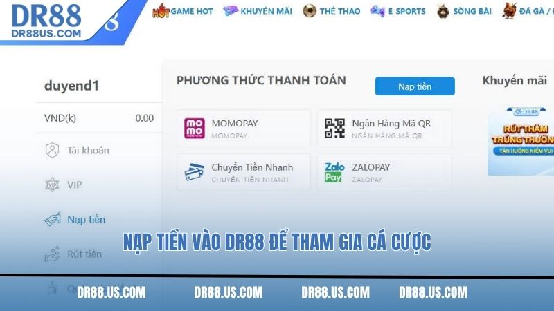 Nạp tiền vào DR88 để tham gia cá cược