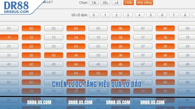 Chiến lược tăng hiệu quả lô đảo