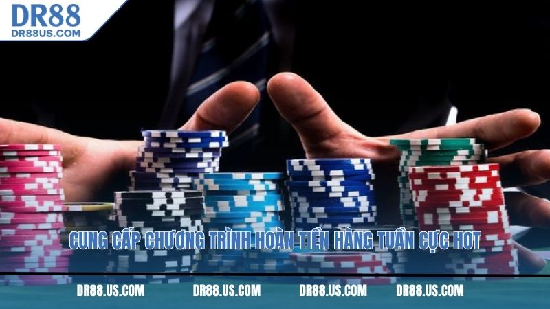 Cung cấp chương trình hoàn tiền hàng tuần cực hot