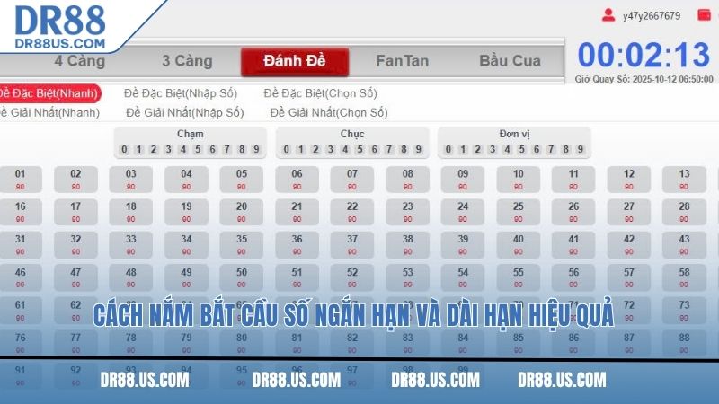 Cách nắm bắt cầu số ngắn hạn và dài hạn hiệu quả