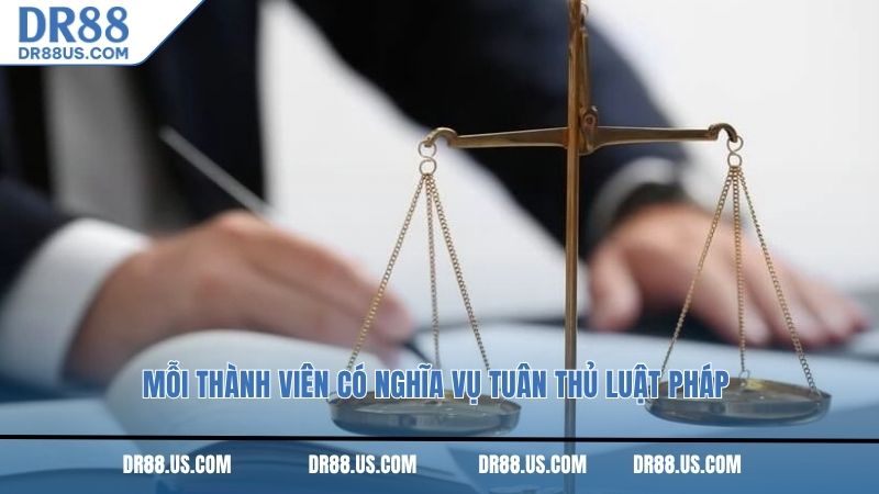 Mỗi thành viên có nghĩa vụ tuân thủ luật pháp