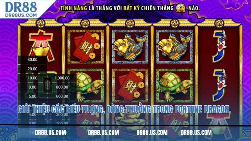 Giới thiệu các biểu tượng, dòng thưởng trong Fortune Dragon