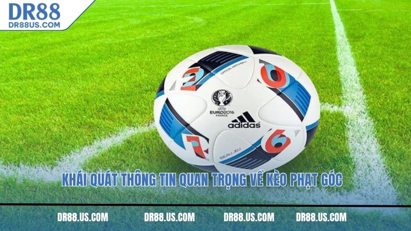 Khái quát thông tin quan trọng về kèo phạt góc