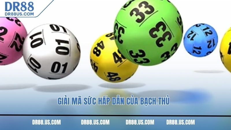 Giải mã sức hấp dẫn của bạch thủ