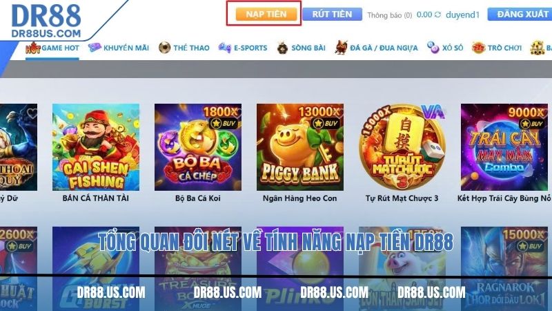 Tổng quan đôi nét về tính năng nạp tiền DR8