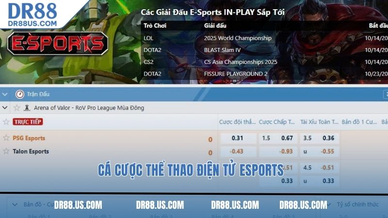 Cá cược thể thao điện tử eSports