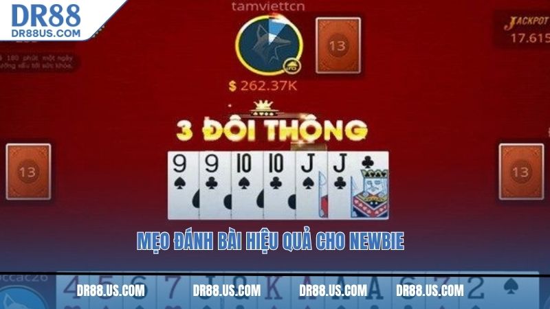 Mẹo đánh bài hiệu quả cho newbie
