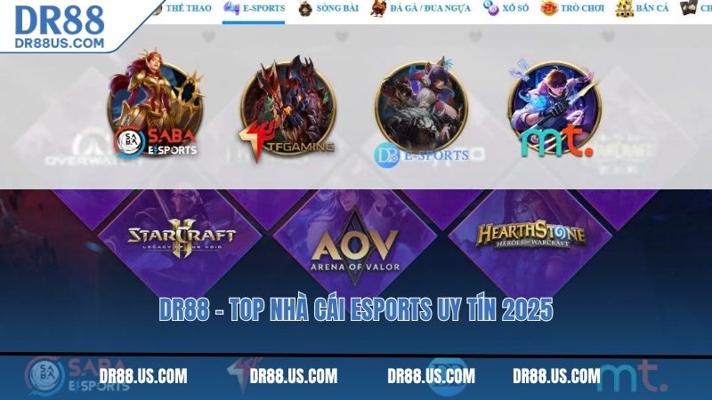 DR88 - Top nhà cái esports uy tín 2025