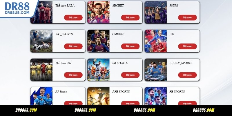 Cá cược thể thao DR88 – Hàng trăm kèo nóng mỗi ngày